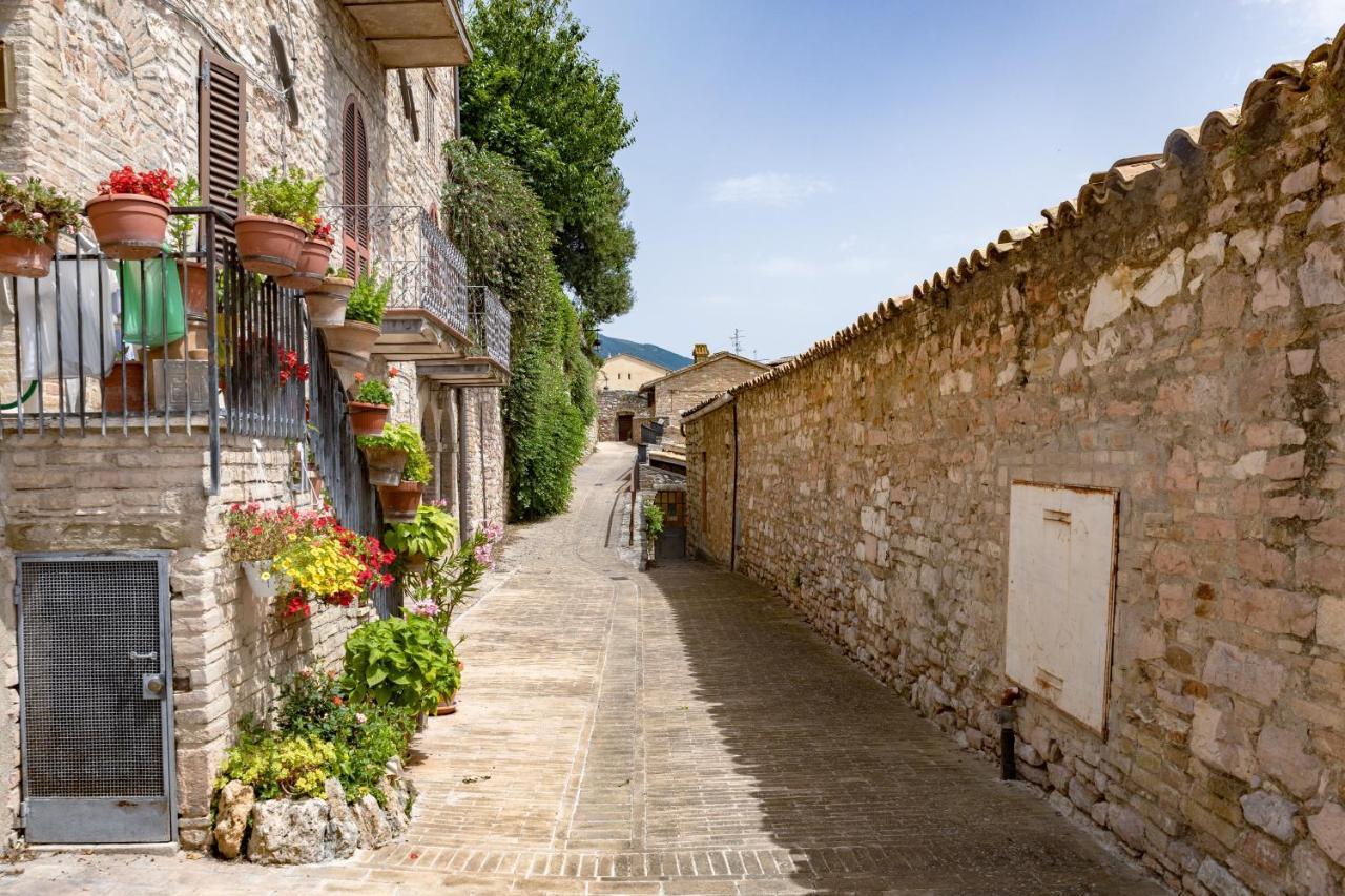 Rustic House, Con Patio E Giardino, Assisi Centroヴィラ エクステリア 写真